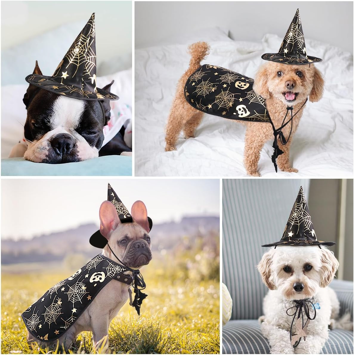 Pet Show Costume Cape and Hat for Dogs Creative Halloween Cloak S Parties Photos and Everyday Wear Fun Present for Your Pet