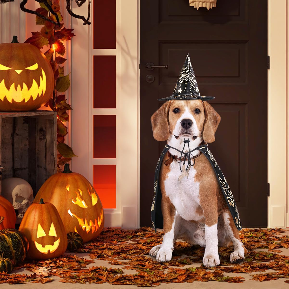 Pet Show Costume Cape and Hat for Dogs Creative Halloween Cloak S Parties Photos and Everyday Wear Fun Present for Your Pet